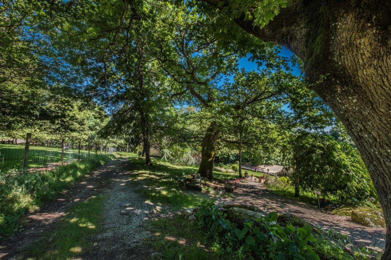 Domaine De Malouzies Hotel Fonties-Cabardès Екстериор снимка