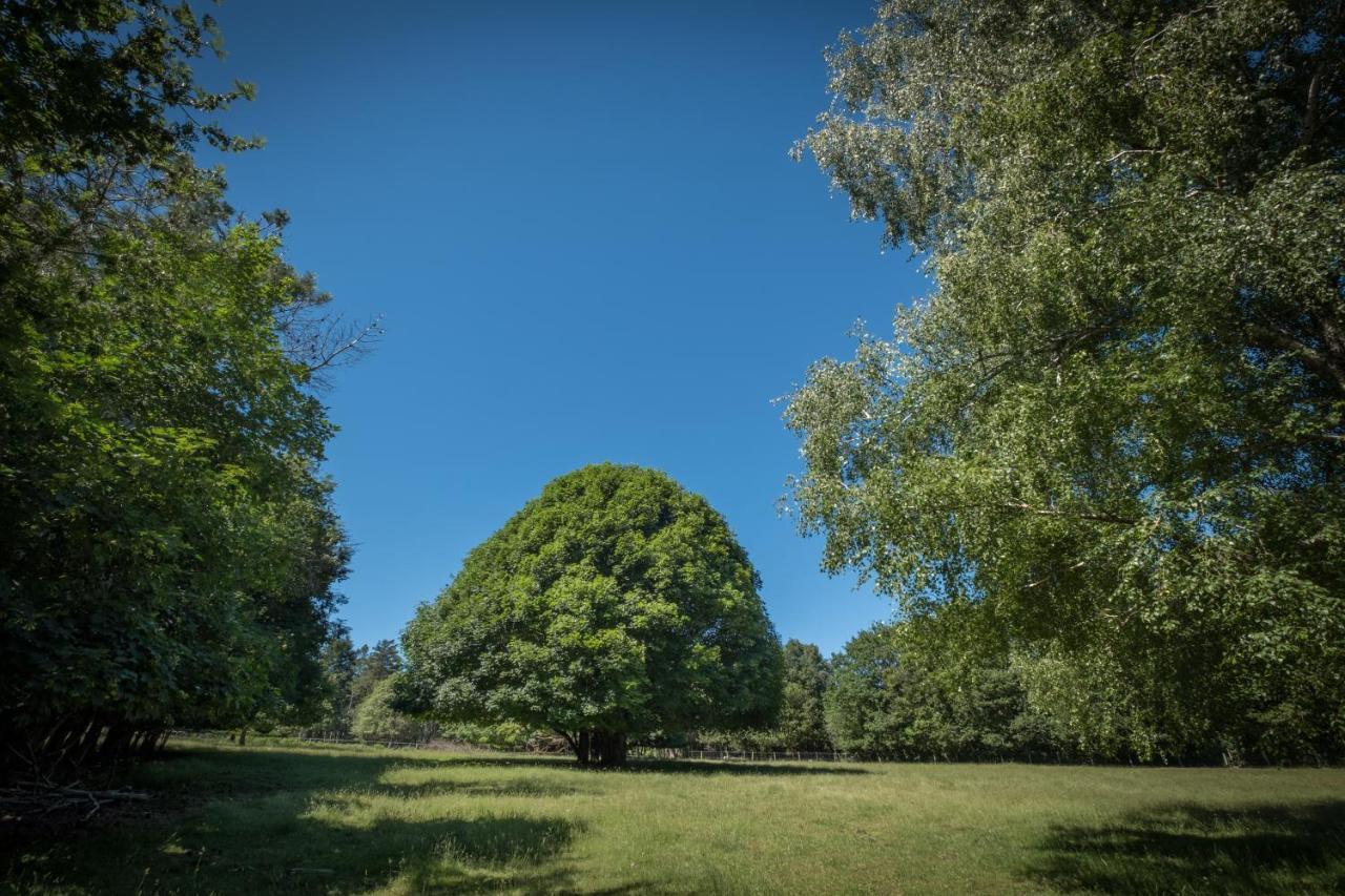 Domaine De Malouzies Hotel Fonties-Cabardès Екстериор снимка